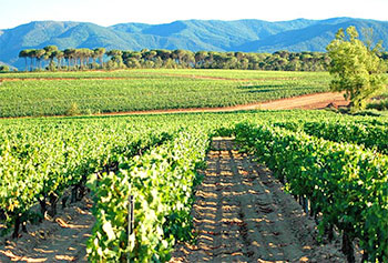 chateau apies arcs argens 2