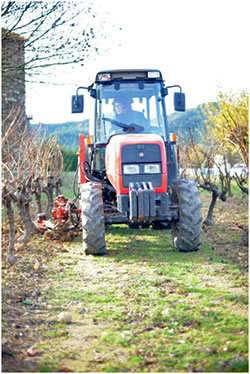 vin provence sol